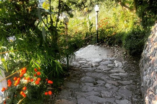 Tour image 6